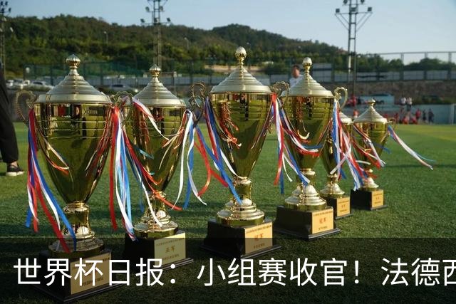 世界杯日报：小组赛收官！法德西荷葡半区绞杀+韩国伊朗出局